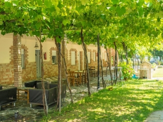 Grčka First Minute letovanje