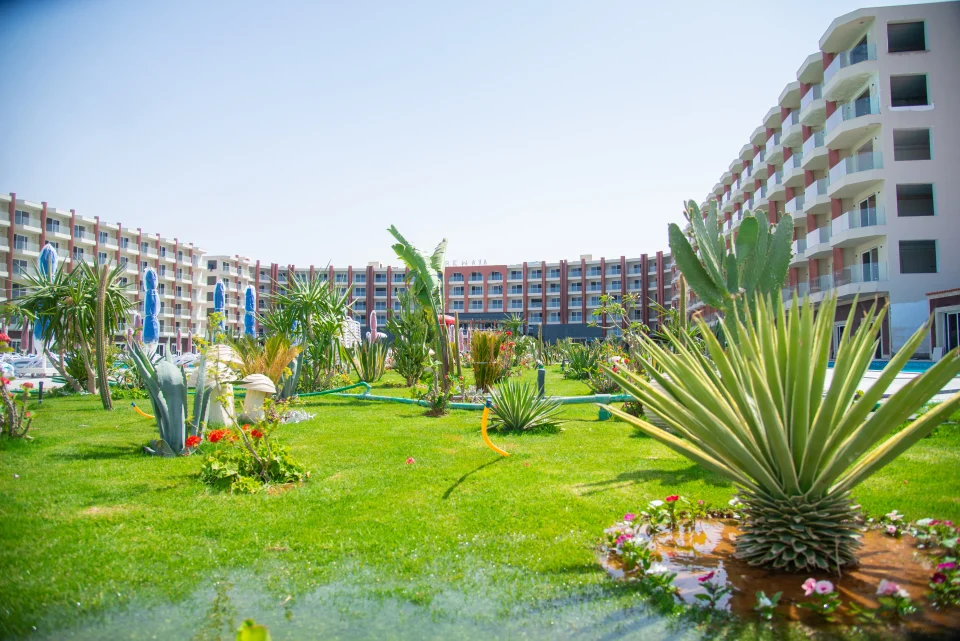 rewaya-majestic-resort-hurgada-for-you-putovanja (1)